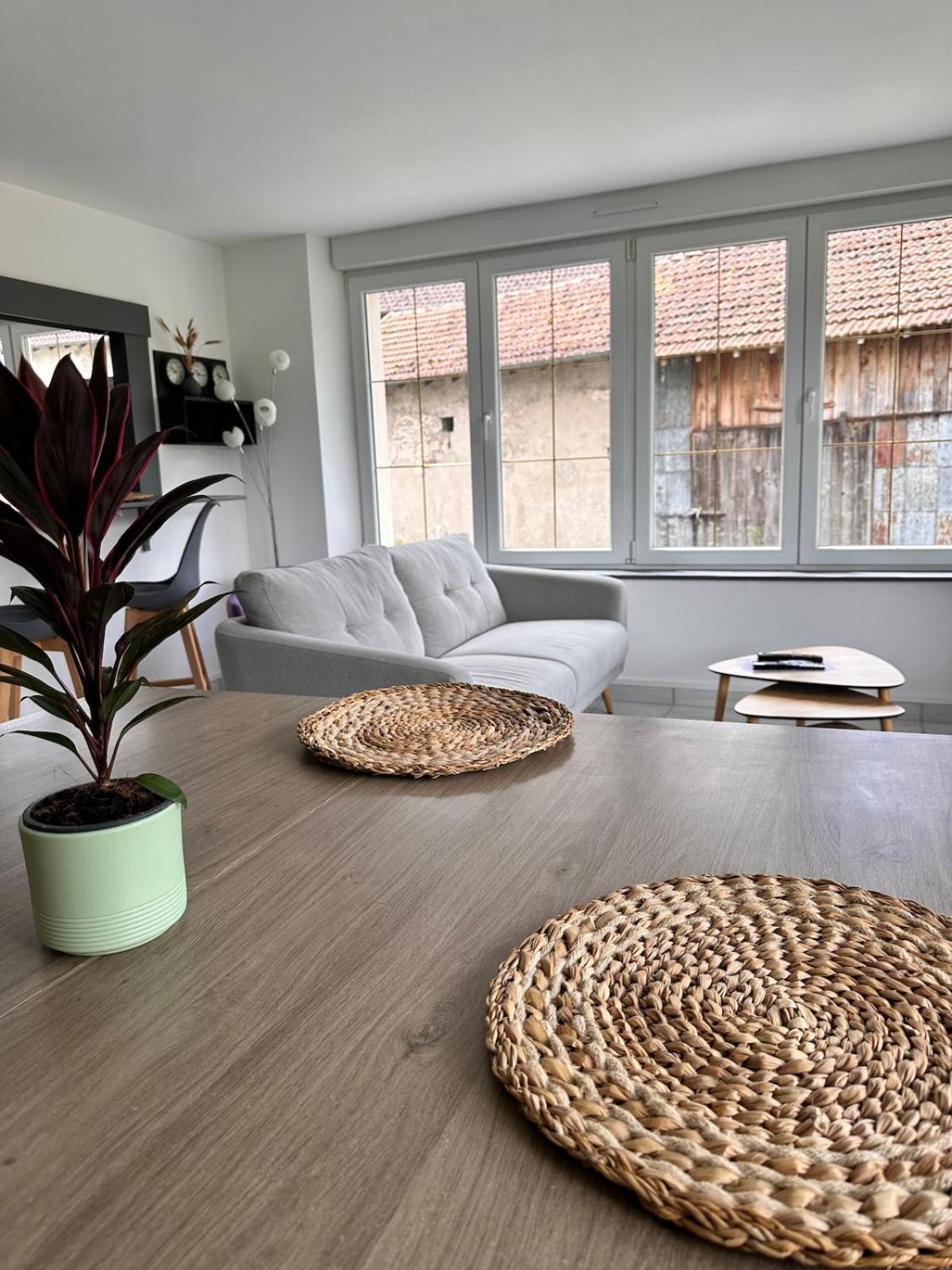 Hot'Vosges Apartment Vagney ภายนอก รูปภาพ